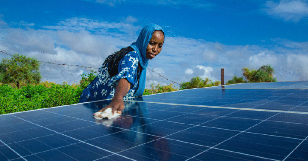 Nigeria’s Green-Energy Transition: Opportunities for Indigenous Firms - Dr. Kenny Odugbemi